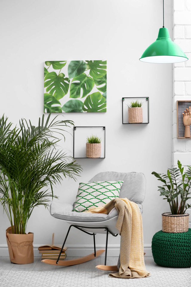 4 apps die je helpen om je kamerplanten wél in leven te houden - wonder & melon