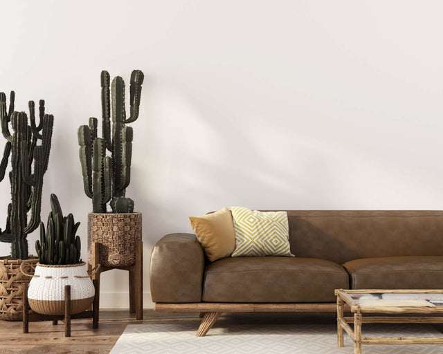 Deze kamerplanten overleven de (zomerse) hitte in je huis - wonder & melon