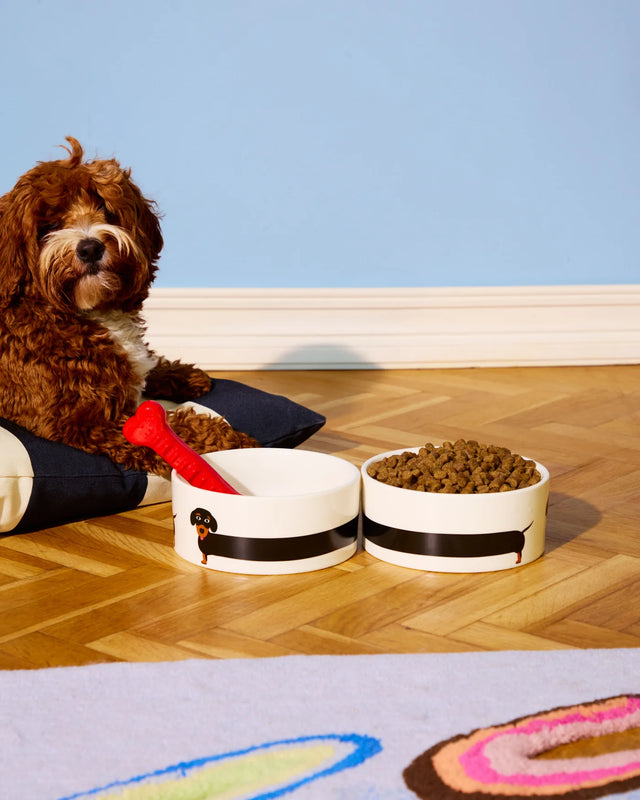 Fluid Market | Schaal Teckel (Fluid Market x Thomas Gravereau )