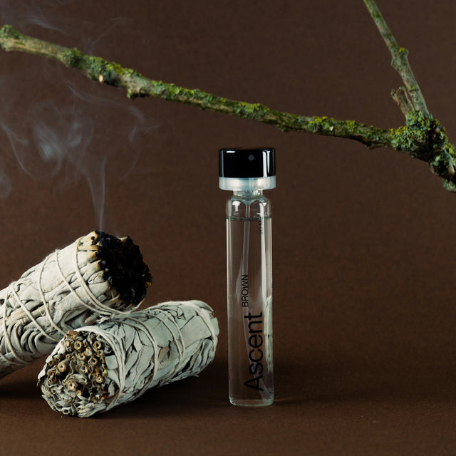 Ascent Brown navulling - Ascent - wonder & melon