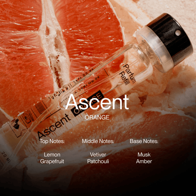 Ascent Orange - Ascent - wonder & melon