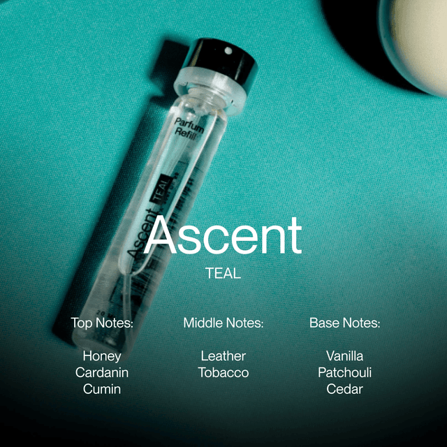 Ascent Teal navulling - Ascent - wonder & melon