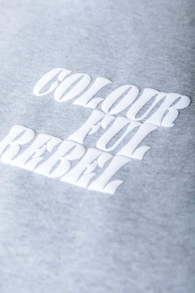 Colourful Rebel | grijze sweater met mouwtje - Colourful Rebel - wonder & melon