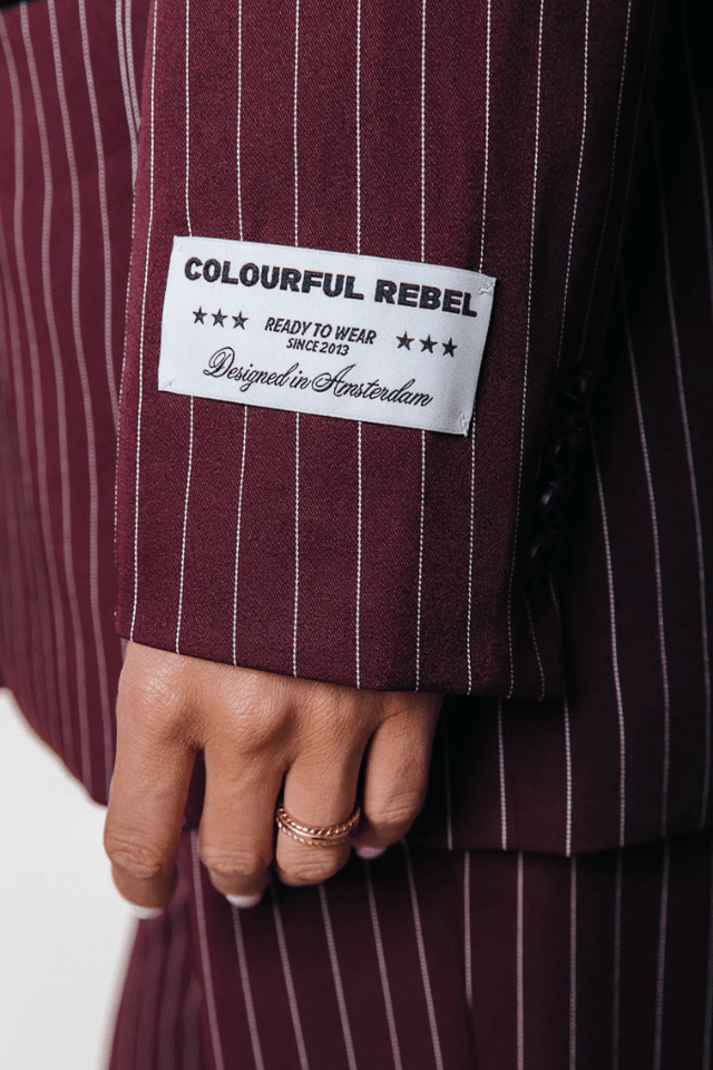 Jesra Stripe Blazer | Colourful Rebel - Colourful Rebel - wonder & melon