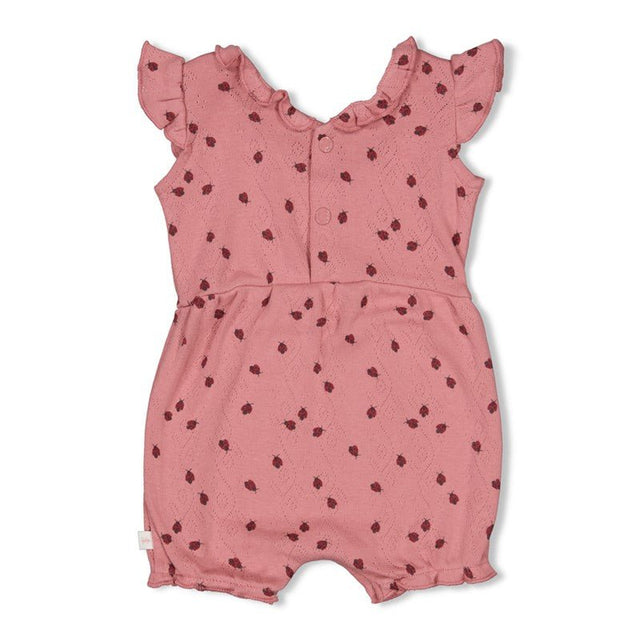 Playsuit ajour rib | Ladybug | Feetje - Feetje - wonder & melon