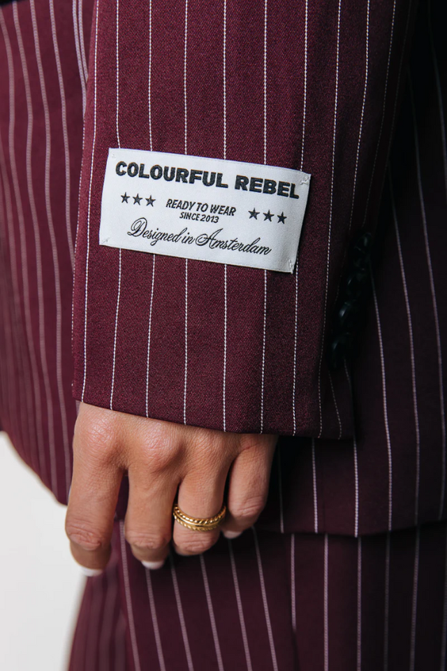 Jesra Stripe Blazer | Colourful Rebel