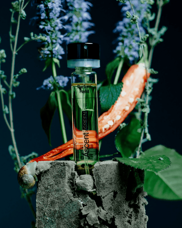 Ascent Green - Ascent - wonder & melon