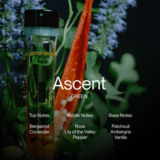 Ascent Green - Ascent - wonder & melon