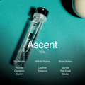 Ascent Teal - Ascent - wonder & melon
