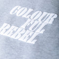 Colourful Rebel | grijze sweater met mouwtje - Colourful Rebel - wonder & melon