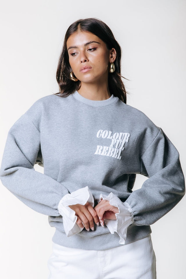 Colourful Rebel | grijze sweater met mouwtje - Colourful Rebel - wonder & melon