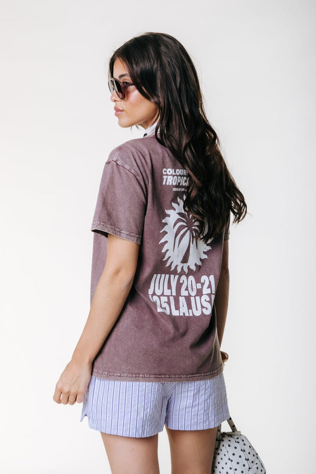 Colourful Rebel | T-Shirt | Brown | Palmtree - Colourful Rebel - wonder & melon