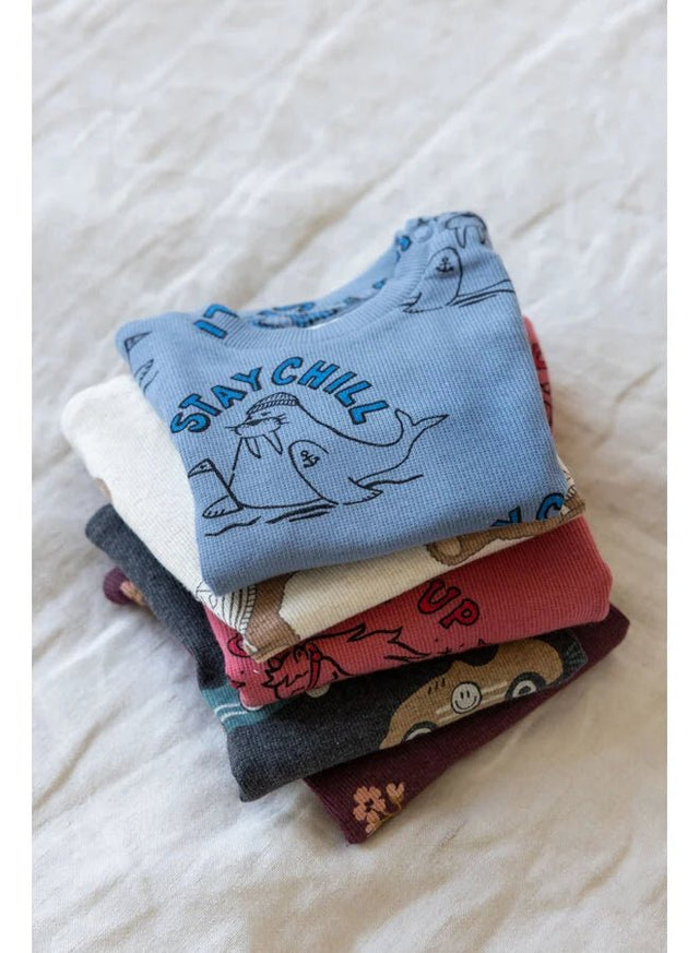 Pyjama Winter Premium | Blauw | Feetje - Feetje - wonder & melon