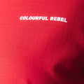 Rebel 23 Longsleeve | Colourful Rebel - Colourful Rebel - wonder & melon