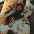 SABBI | The Holy Cow Faux Fur Jacket - Sabbi - wonder & melon