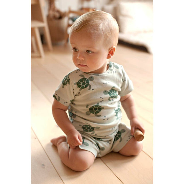 Shortama Timmy Turtle Mint | Limited Edition | Feetje - Feetje - wonder & melon