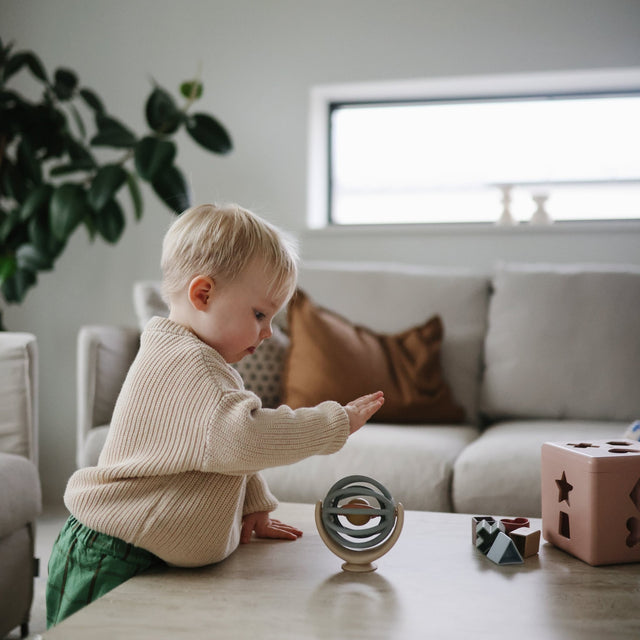 Spinner bal met zuignap | Mushie - Mushie - wonder & melon
