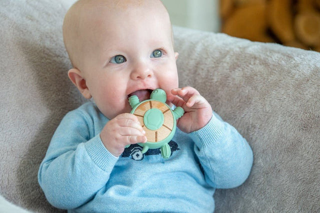 Tickit | Silisoft Schildpad Bijtspeelgoed - Tickit - wonder & melon