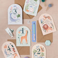 Wild One verjaardagskaarten | Dierenkaart | Verjaardagskaarten voor kinderen - Sister Paper Co. - wonder & melon